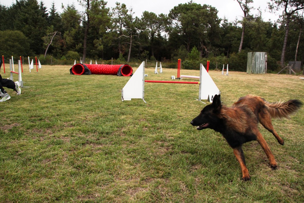 souvenirs-2014 JPG (514)