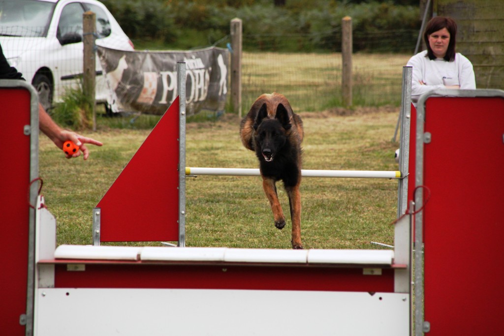 souvenirs-2014 JPG (515)