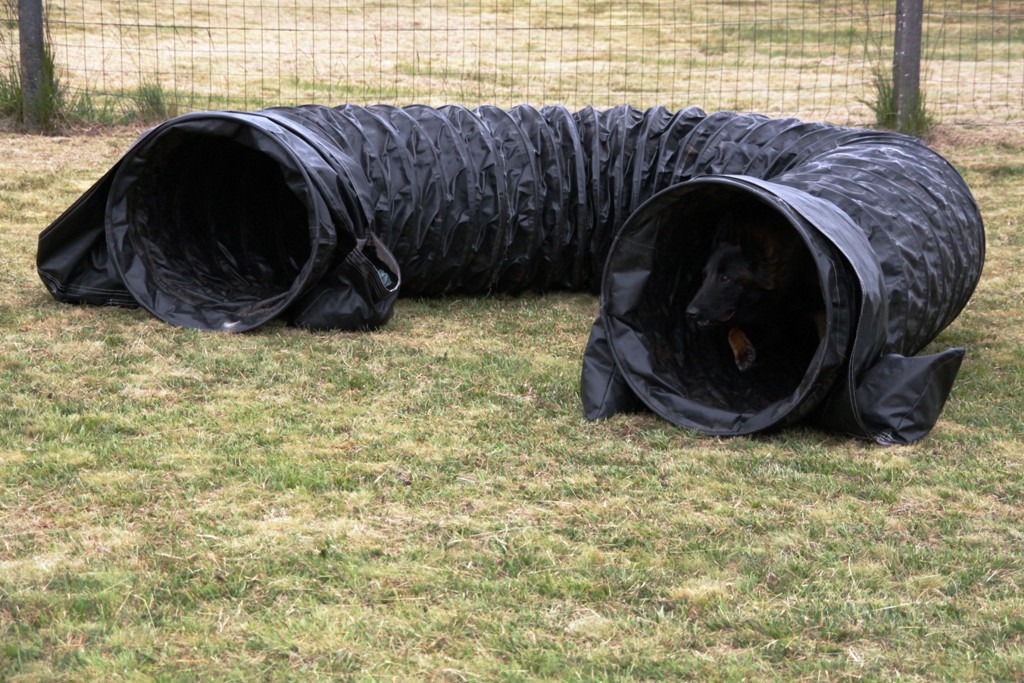 souvenirs-2014 JPG (518)