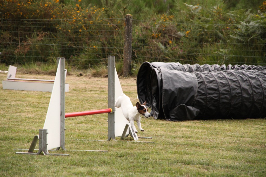 souvenirs-2014 JPG (520)