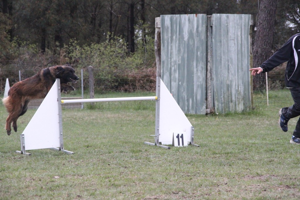 souvenirs-2014 JPG (53)