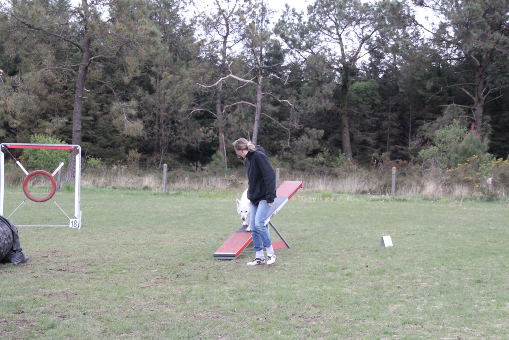 souvenirs-2014 JPG (55)