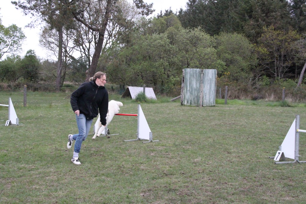 souvenirs-2014 JPG (57)