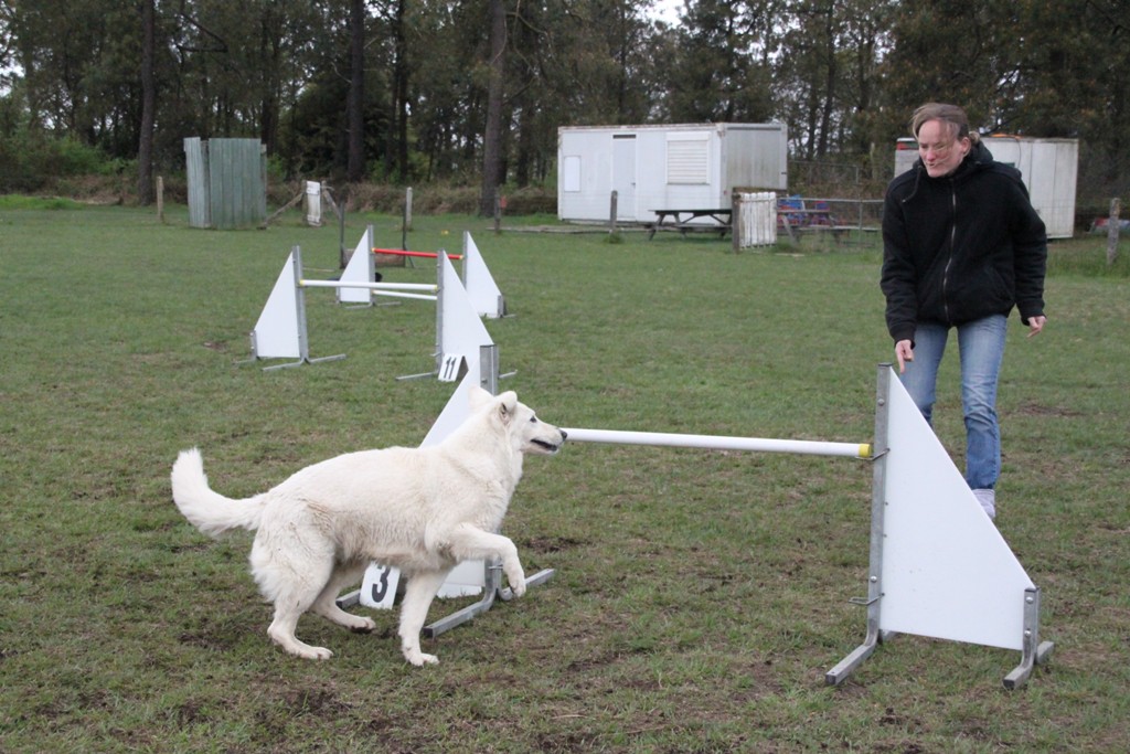 souvenirs-2014 JPG (59)