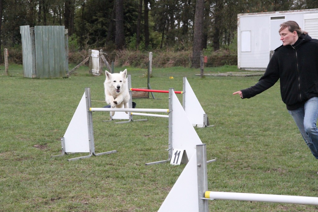 souvenirs-2014 JPG (60)