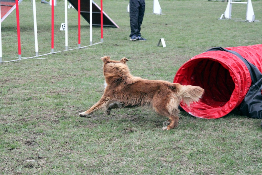 souvenirs-2014 JPG (61)