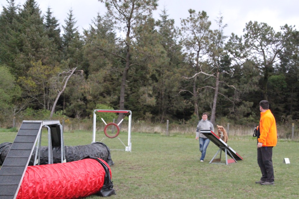 souvenirs-2014 JPG (64)