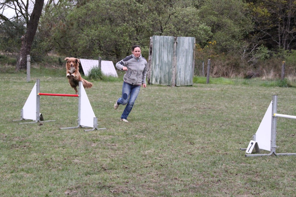 souvenirs-2014 JPG (66)