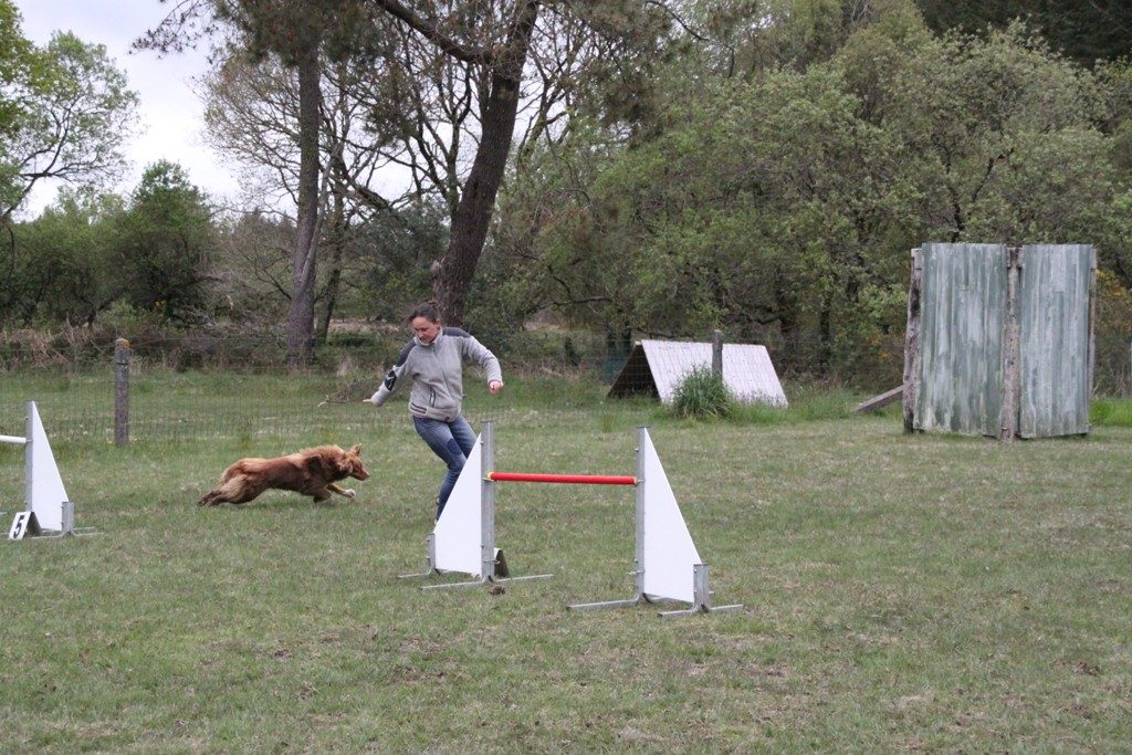 souvenirs-2014 JPG (67)