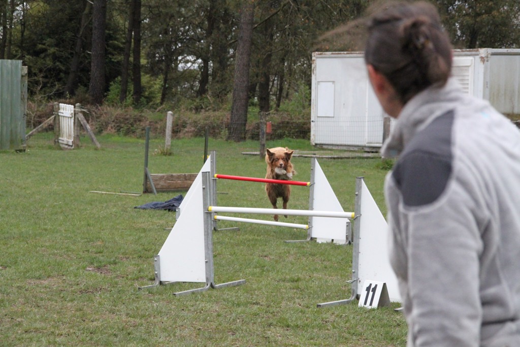 souvenirs-2014 JPG (68)