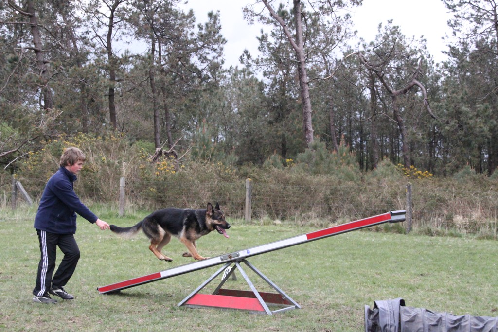 souvenirs-2014 JPG (70)