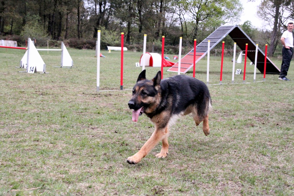 souvenirs-2014 JPG (80)