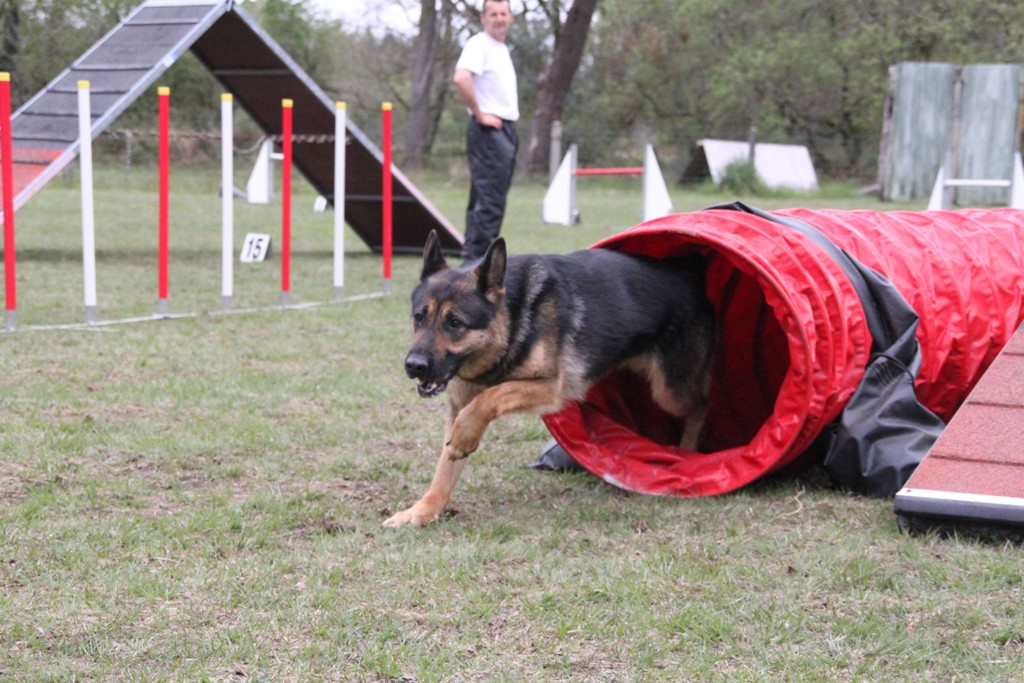 souvenirs-2014 JPG (81)