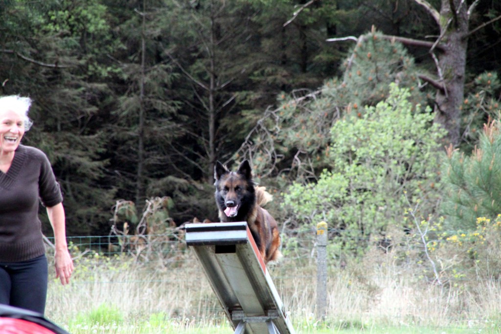 souvenirs-2014 JPG (91)