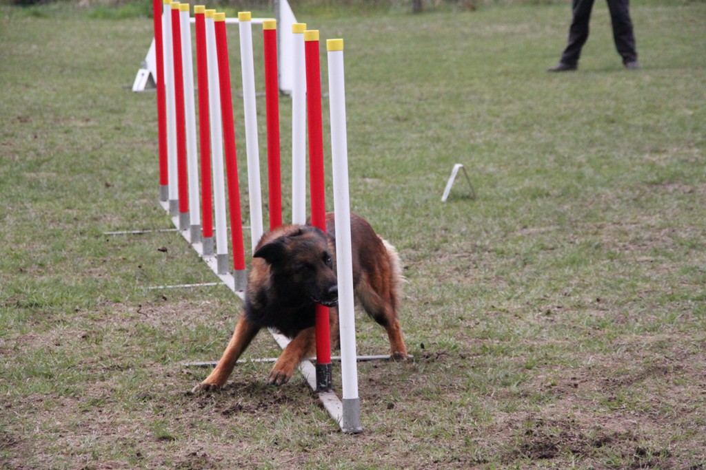 souvenirs-2014 JPG (92)