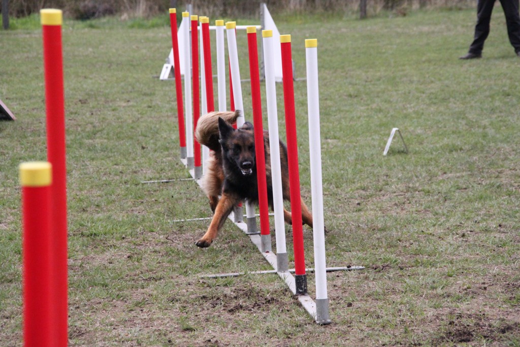 souvenirs-2014 JPG (93)