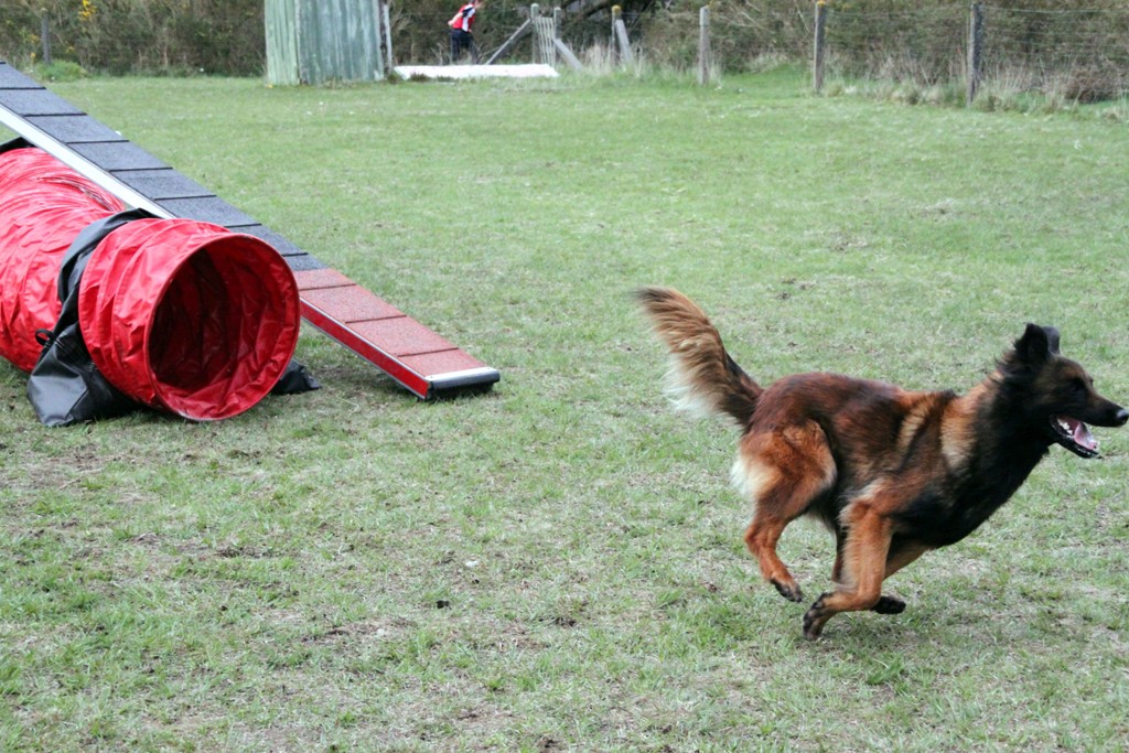 souvenirs-2014 JPG (94)