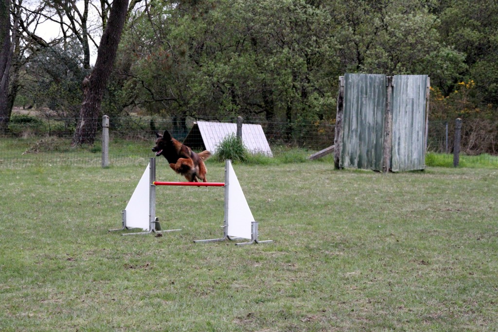 souvenirs-2014 JPG (96)