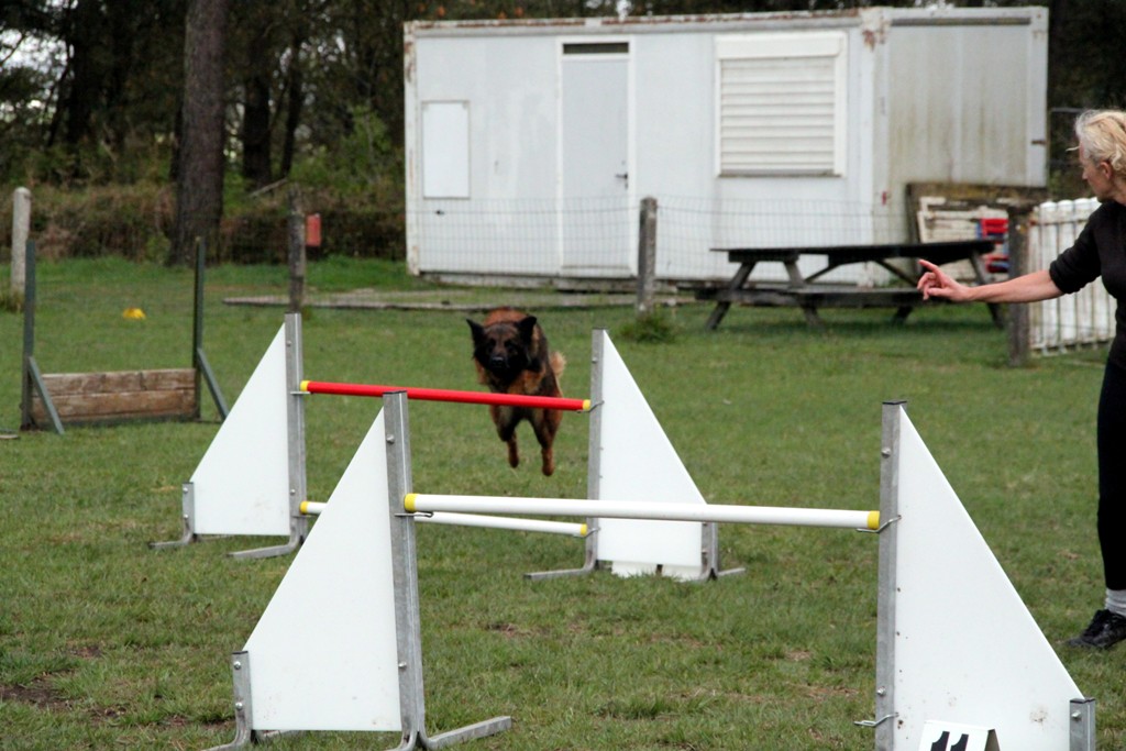 souvenirs-2014 JPG (98)