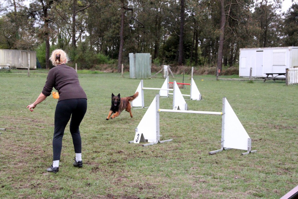 souvenirs-2014 JPG (99)